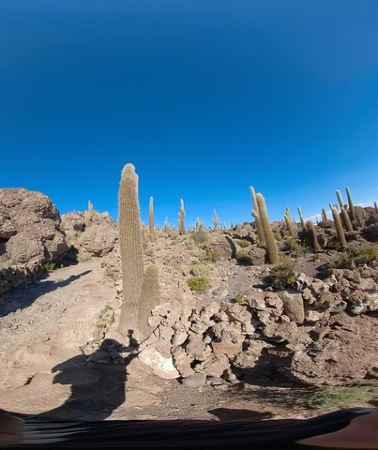 3D2N • Salt Flats And Colored Lagoons 3d 2n Tour + Transfer to San Pedro de Atacama