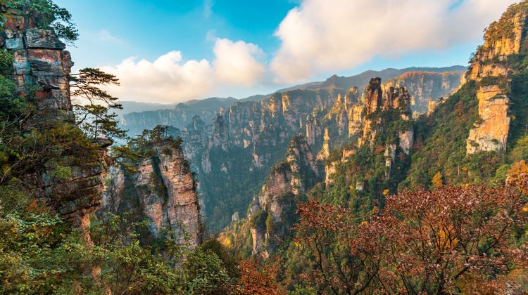 4-Day Twin Forest Parks & Grand Canyon Karst Scenery Zhangjiajie + Zhangjiajie Grand Canyon + Tianmen Mountain National Forest Park + Zhangjiajie National Forest Park