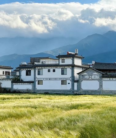 7D6N • Muslim-friendly: Kunming + Dali + Lijiang + Shangri-La – Visit mosques + Complimentary prayer mat & portable ablution bottle + Halal Food Street + Yunnan's natural scenery + Family rooms available