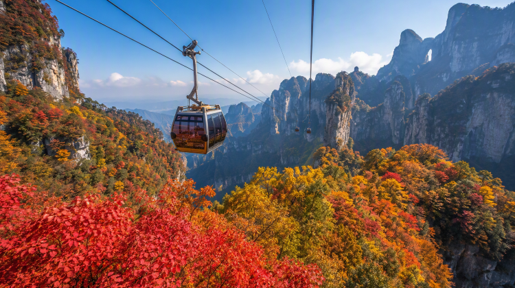 3-Day Best of Zhangjiajie Tour·Zhangjiajie National Forest Park | Tianmen Mountain | Cliff Glass Plank Road | Tianmen Cave