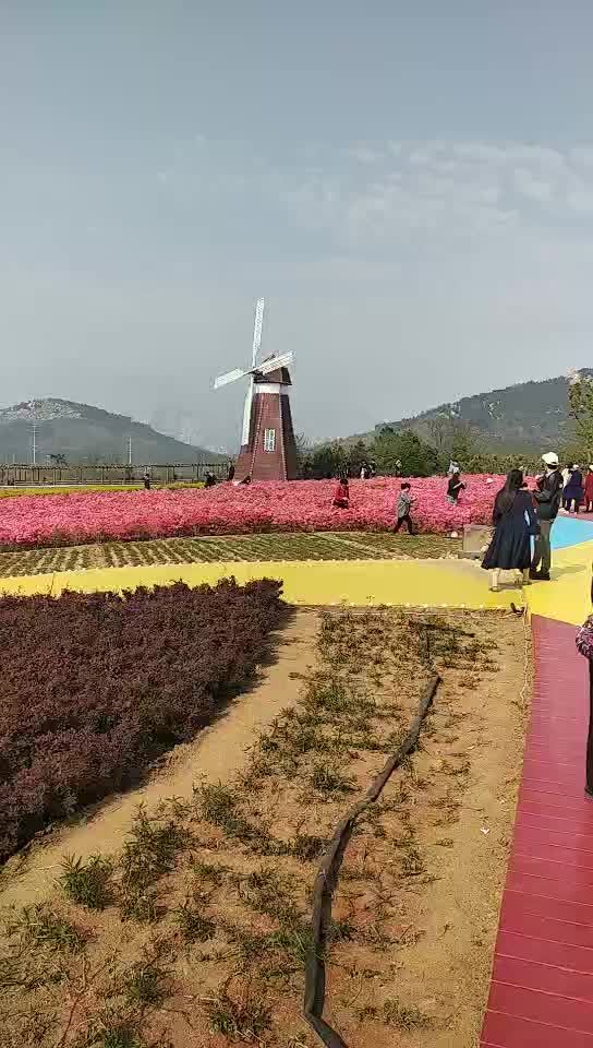 青岛西海岸生态观光园旅行图片 1