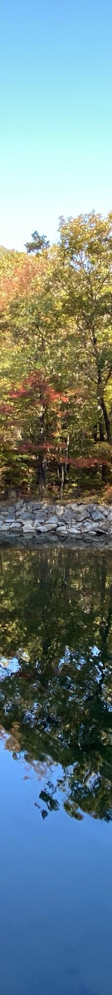 蒲石河森林公园-凤城