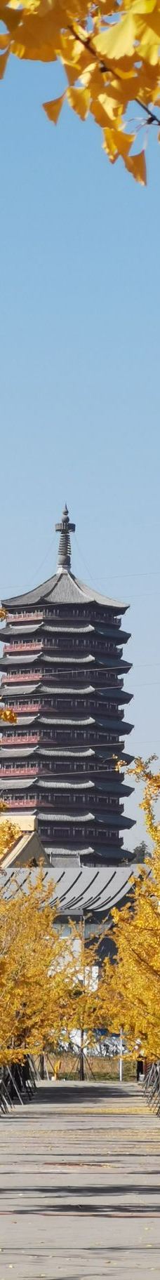 北京园博园-北京