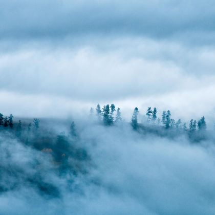 新疆乌鲁木齐+北疆+喀纳斯+伊犁11日10晚拼小团