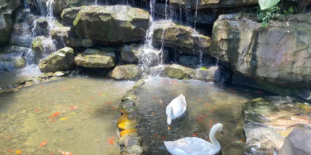 永安旅遊