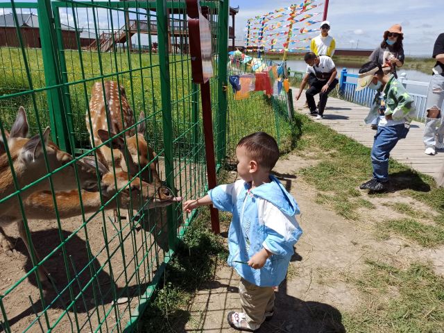 若尔盖热尔部落梅花鹿生态园旅行图片 1