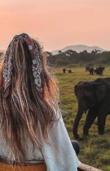 斯里兰卡+马尔代夫8日7晚跟团游图片