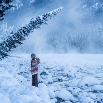 新疆乌鲁木齐+喀纳斯+禾木风景区+赛里木湖8日7晚跟团游