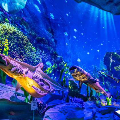 广州+长隆+珠海7日6晚私家团