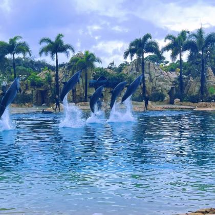 澳大利亚黄金海岸5日4晚私家团