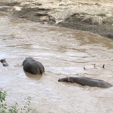 乌干达Jinja Rafting5日4晚私家团