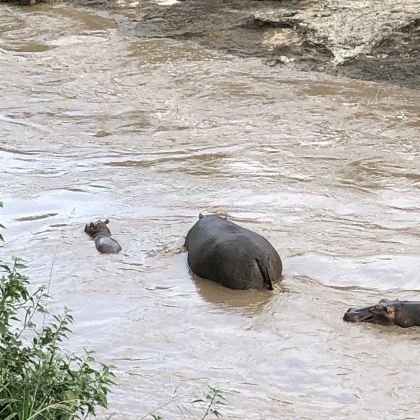 乌干达Jinja Rafting5日4晚私家团