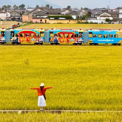 云南昆明+大理市+丽江+香格里拉+西双版纳10日9晚跟团游
