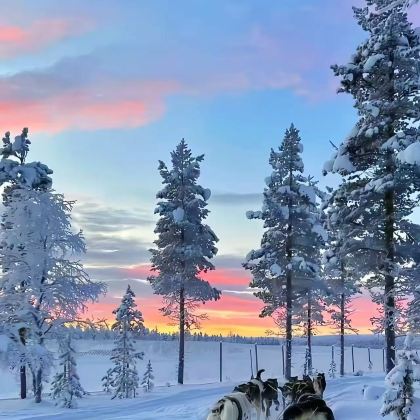 万达长白山国际滑雪场+长白山仙峰雪岭景区+长白山天池+长白朝鲜族民俗村5日4晚跟团游