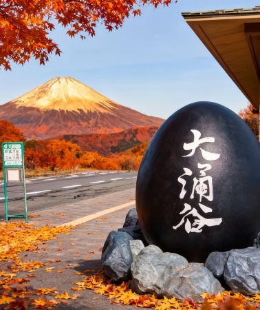 5天4晚 • 愜意度假·賞楓之旅 | 日本東京+橫濱+箱根