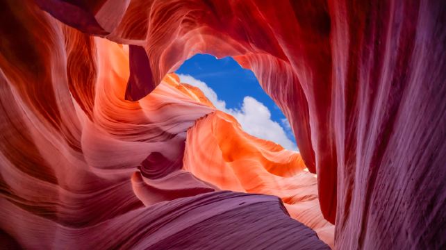 <6天>【五大國家公園 三大攝影聖地】洛杉磯進舊金山出 狂野西南環線·2晚入住拉斯大道酒店，大峽谷+峽谷地+拱門+布萊斯+錫安國家公園、紀念碑谷+馬蹄灣+羚羊彩穴、可選峽谷直升機/拉斯夜遊等+舊金山出