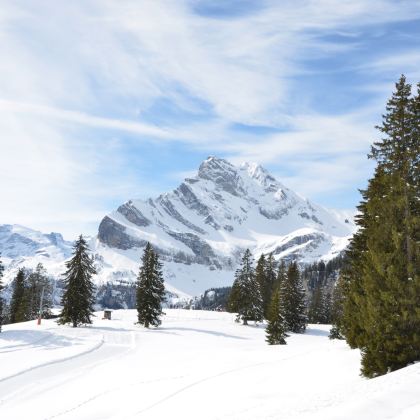瑞士+采尔马特滑雪场+圣莫里茨滑雪场10日9晚私家团