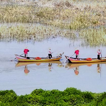 南湾甲骨文摄影景点+花竹日出1号观景点+杨家溪+高罗沙滩海水浴场+下尾岛4日3晚私家团