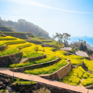 韩国济州岛3日2晚自由行