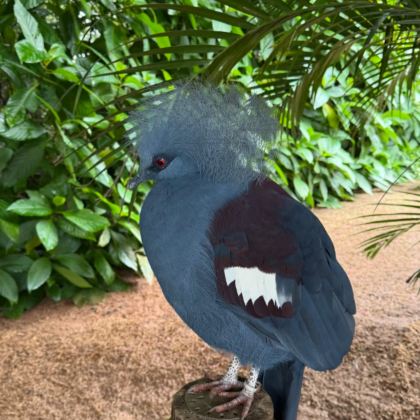 库亚巴+圣保罗州8日7晚私家团