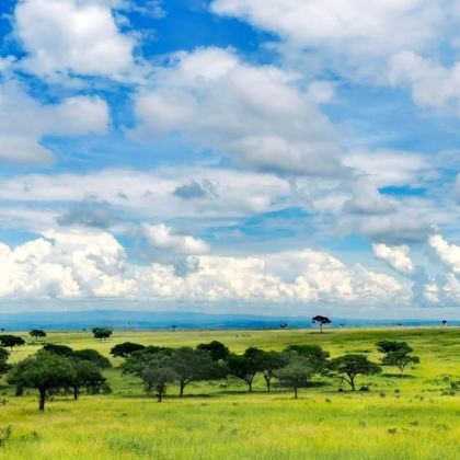 坦桑尼亚+乌干达12日11晚私家团