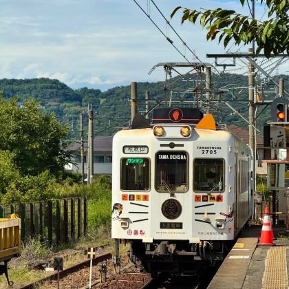 日本和歌山市6日5晚私家团