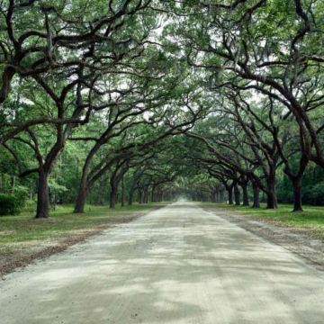 美国萨凡纳+亚特兰大3日2晚拼小团