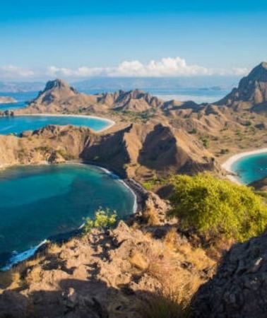2D1N • Komodo Island 2 Days 1 Night Tour with Flights from Bali