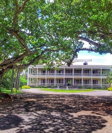 3D2N • 3-Day Private Mauritius Discovery with Optional Wild Dolphin Swim