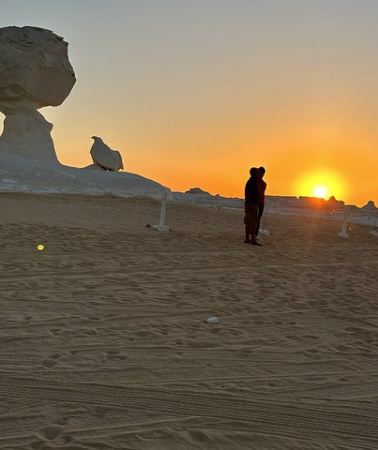 2D1N • Two Day White Desert & Bahariya Oasis Camping Tour from Cairo