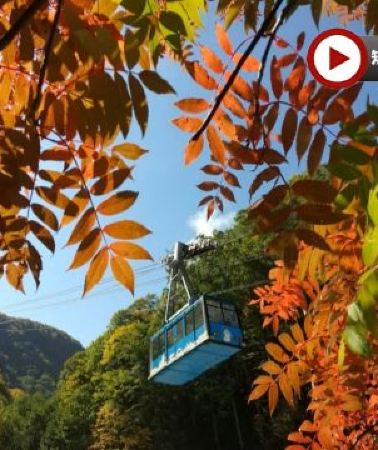 7日6晚 • 北海道·道東·秋色探索·限時特惠·3晚高級溫泉酒店·廣東話領隊·全日本最早紅葉「黑岳」包乘空中纜車·能取湖紅色珊瑚草