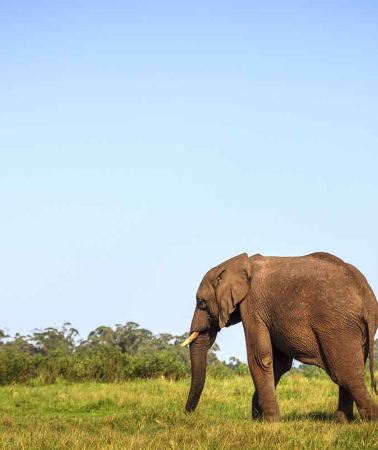 9D8N • South Africa: The Garden Route