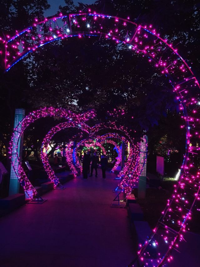 北京生存岛实践基地旅行图片 3