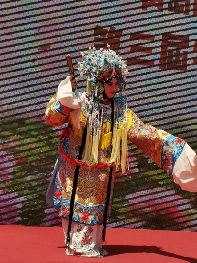青岛国际牡丹产业园旅行图片 2