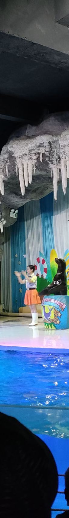 郑州海洋馆-郑州