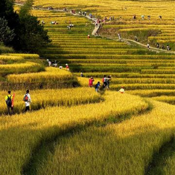 清远连州地下河+湟川三峡+欧家梯田2日1晚私家团
