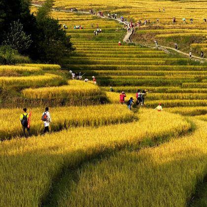 清远连州地下河+湟川三峡+欧家梯田2日1晚私家团