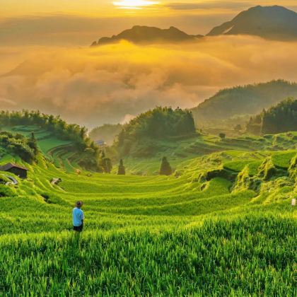 丽水+缙云+云和+云中大漈+那云度假村+松阳4日3晚私家团