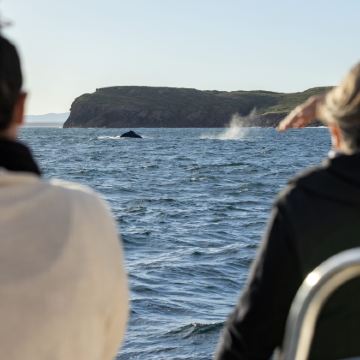 澳大利亚悉尼+黄金海岸+布里斯班+墨尔本10日9晚跟团游