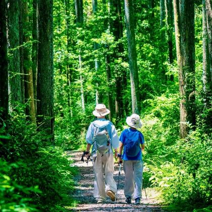 张家界国家森林公园+天门山+芙蓉镇4日3晚私家团