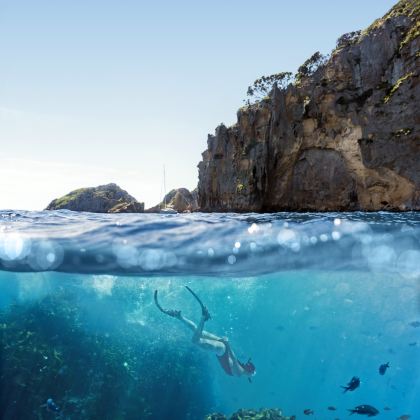 悉尼+奥克兰+邦迪海滩+霍比特村+海德公园8日7晚私家团