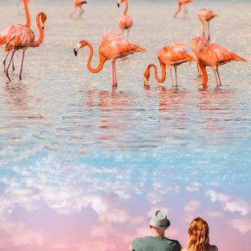 墨西哥墨西哥城+坎昆11日9晚私家团