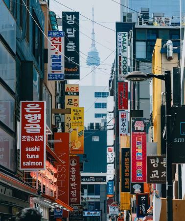 5天4晚 • 首爾跟團遊「兩天嗨逛首爾熱門景點·體驗歷史與現代的雙重魅力」景福宮＆北村韓屋村＆新沙洞＆汝矣島＆漢江遊輪｜門票全含·贈船票