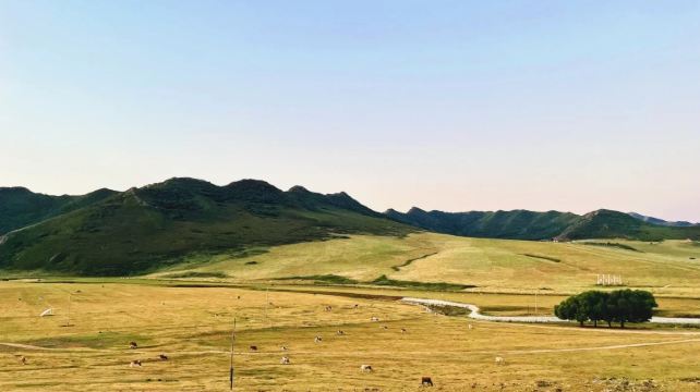 5-Day Scenic Inner Mongolia Private Tour from Hailar· Hulun Buir, Erguna, Manzhouli and Balhu Mongolian Tribe丨Black Mountain Head Riding Horse