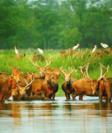 8D7N • Shanghai + Nantong + Yancheng + Taizhou + Yangzhou + Nanjing + Jiangsu Jintan Maoshan Mountain Resort