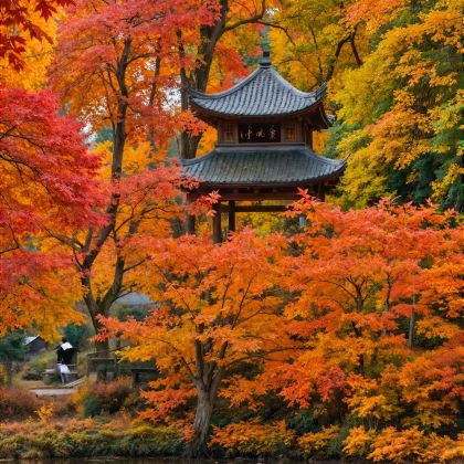 长沙+岳阳3日2晚自由行