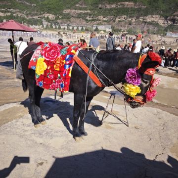 西安7日6晚跟团游