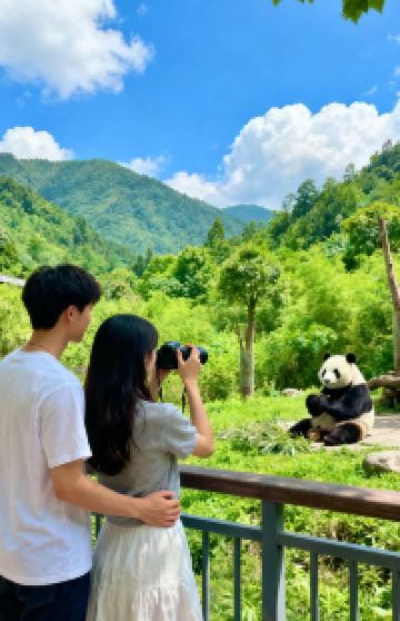 成都+峨眉山+乐山+三星堆博物馆+都江堰+青城山4日3晚跟团游图片