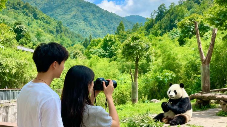 <4天>【成都+峨眉山+乐山+三星堆博物馆+都江堰+青城山】·赠游成都大熊猫基地+成都周边景点全景游+二进峨眉山金顶+半山深度游+成都三环内包接