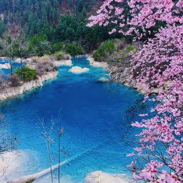 成都+九寨沟+黄龙风景名胜区+峨眉山市+乐山7日6晚私家团